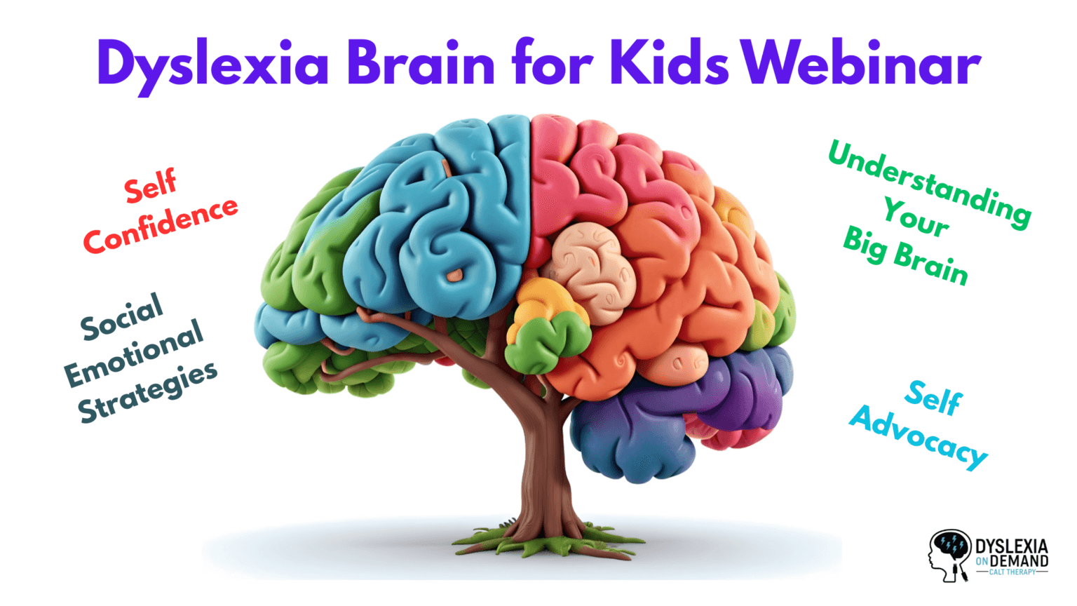 Dyslexia Brain for Kids Webinar - Dyslexia On Demand