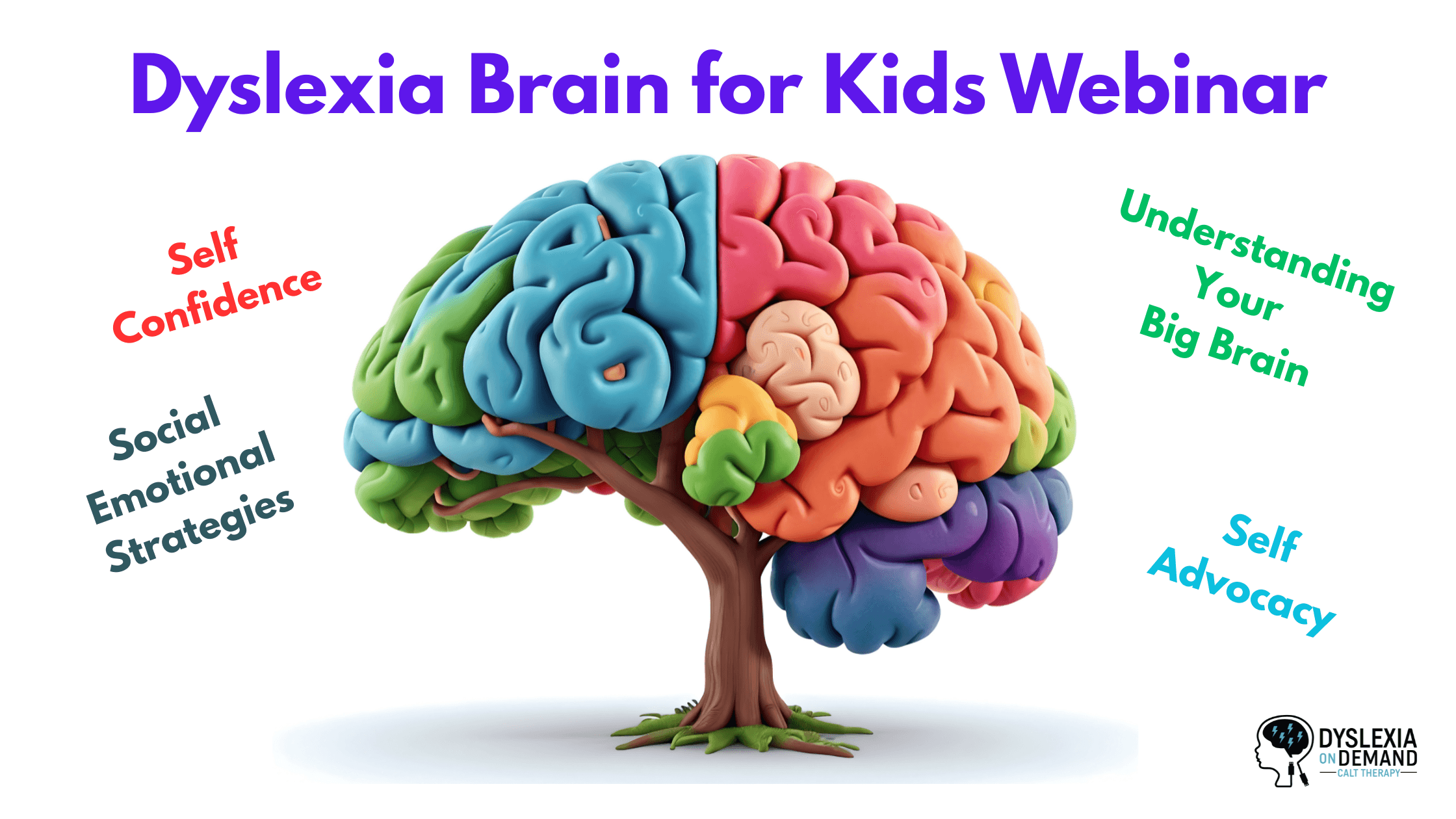 Dyslexia Brain for Kids Webinar - Dyslexia On Demand