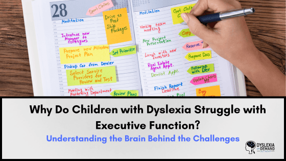 Why Do Children with Dyslexia Struggle with Executive Function? Understanding the Brain Behind the Challenges